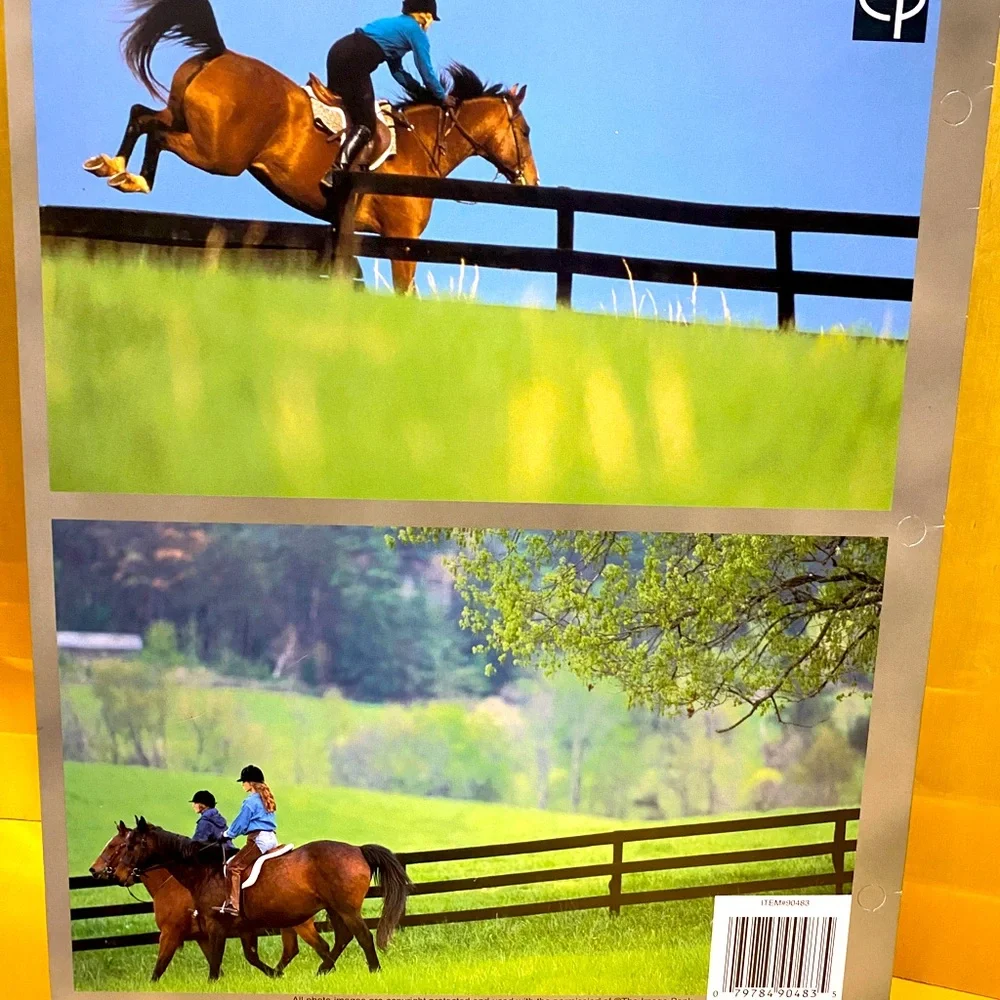 HORSES VINTAGE 90’s PORTFOLIO 3 RING BINDER FOLDERS BUNDLE OF 3 GREAT FOR SCHOOL